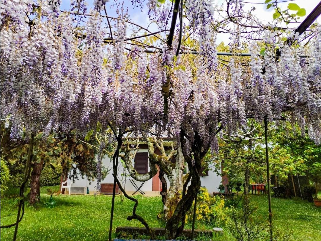 Casetta In Collina Sezze Exterior foto